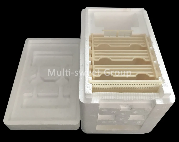 Queen Bee Mating Nuc bee hive box