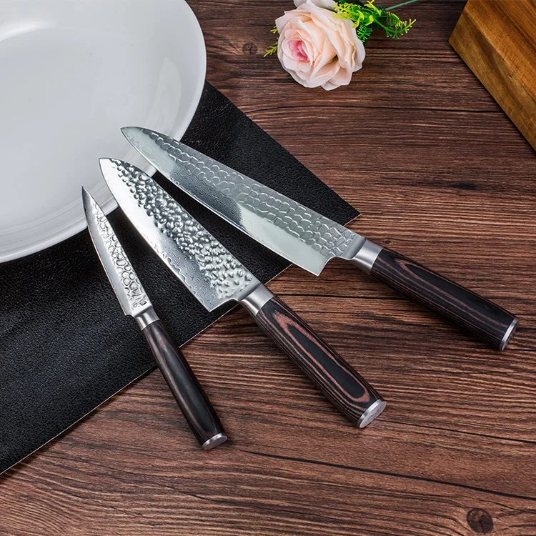 
Customized Japanese 3 Pcs Damascus Steel Kitchen Knife Set 