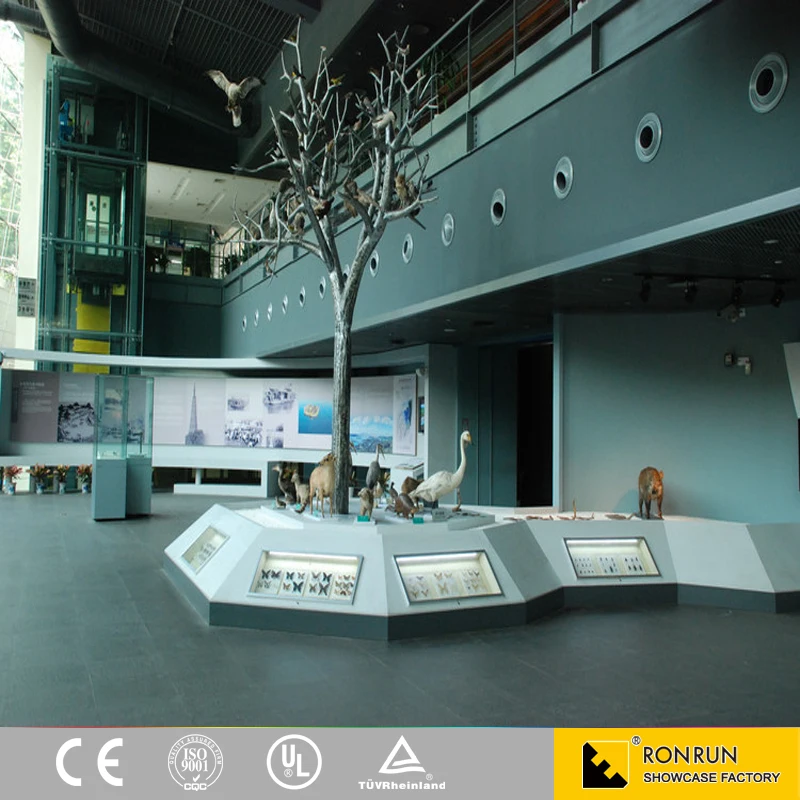 Free-standing museum display cases museum quality display cases museum vitrine display case