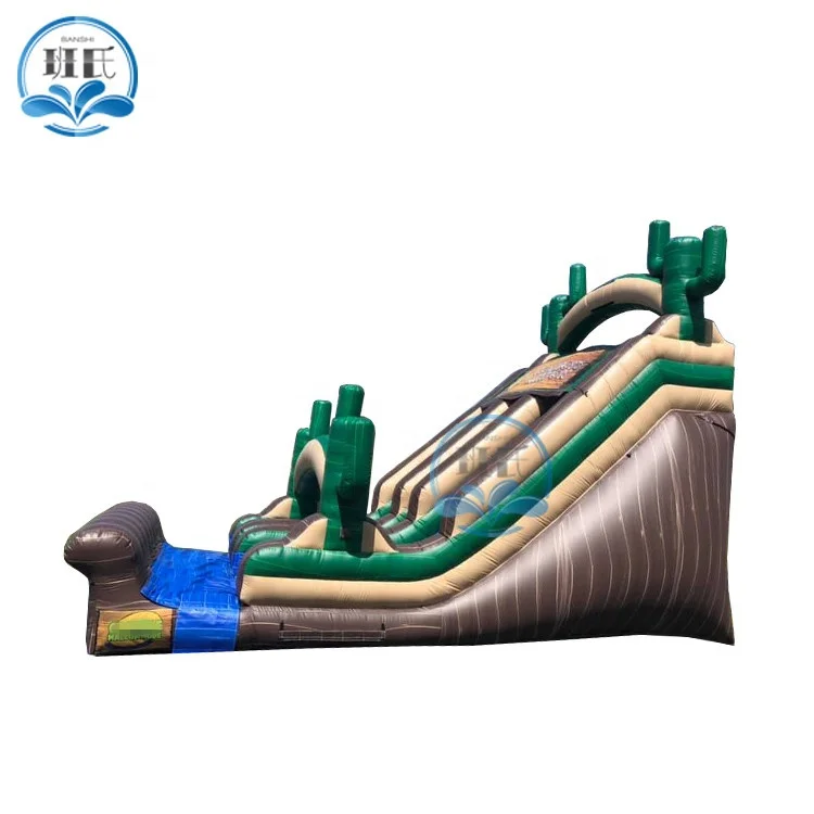 cactus commercial blow up double lane dry bouncy slide games backyard party inflatable slide for children