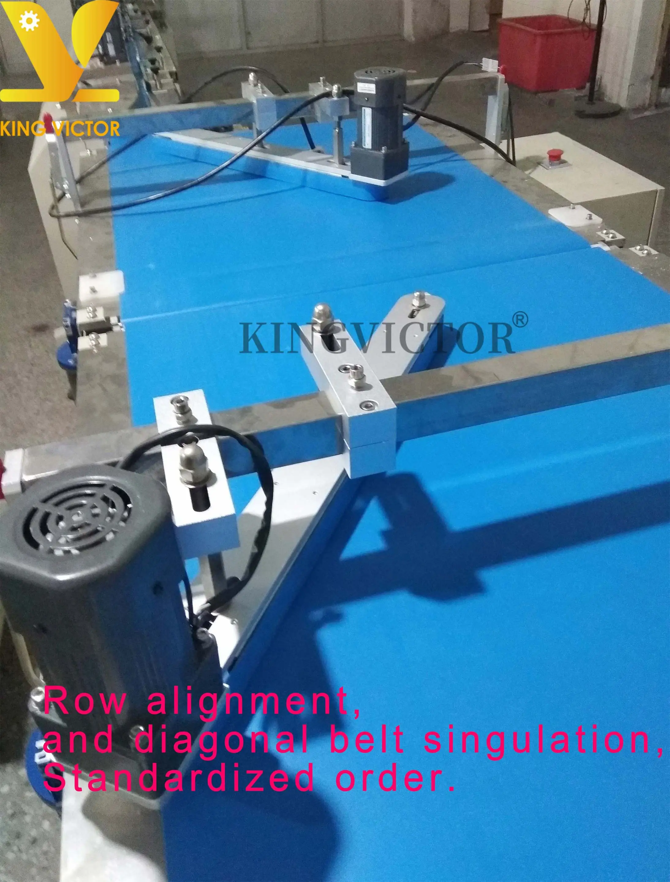 automatic professional designed vegetable and fruit packaging line machine