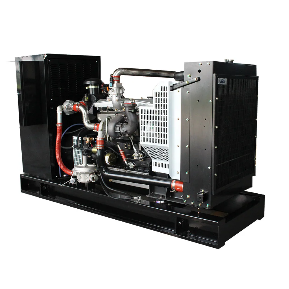 High quality 80kw biogas engine generator price