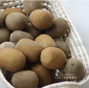 Super realistic photography props Artificial fruit kiwi for decoration