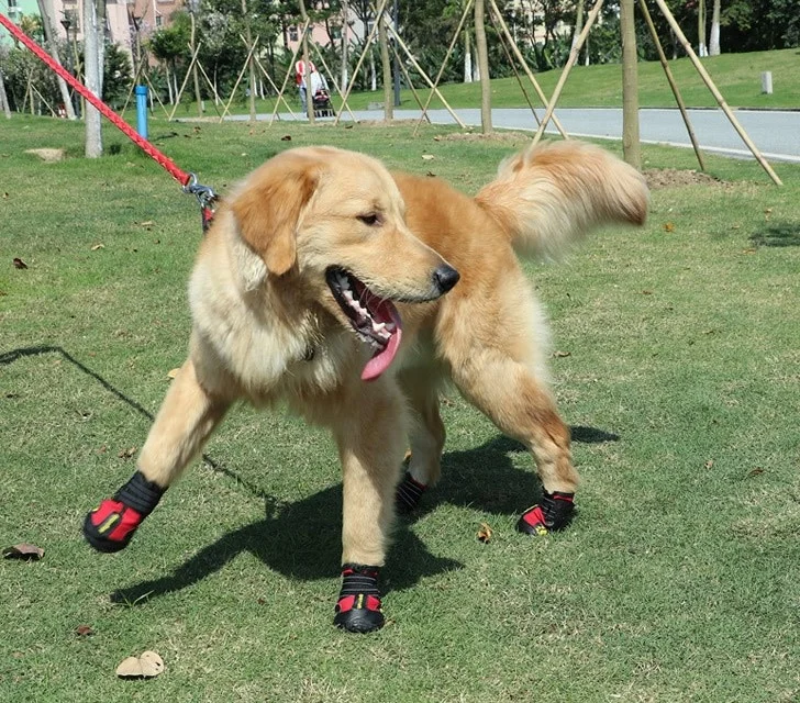 Dog Shoes Water Resistant Dog Boots Anti-slip Warm Paw Protector for Medium to Large Dogs Labrador Husky Shoes 4 Pcs