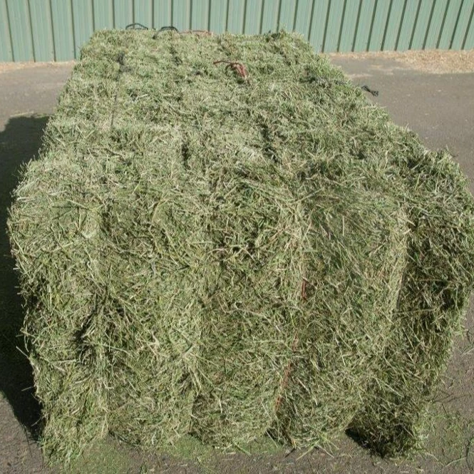 mix of alfalfa and wheat straw