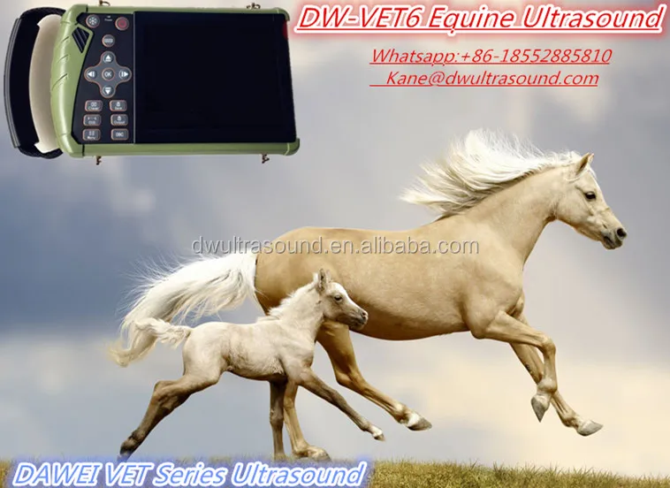 DAWEI DW-VET6 professional equine veterinary palm ultrasound
