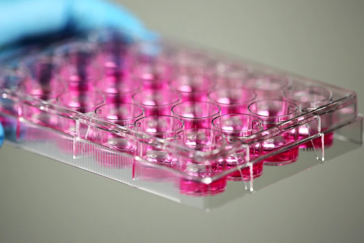 Non- treated 6 well cell culture plate, Individually Packaged in Plastic Bag