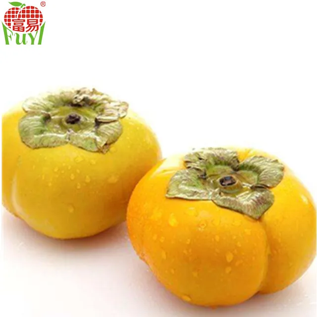 Chinese Fresh Hard Persimmon Fruit on sale