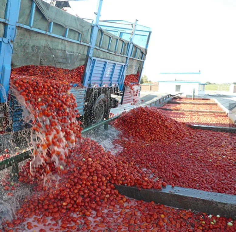 March expo Hot sale automatic tomato paste production line processing machine