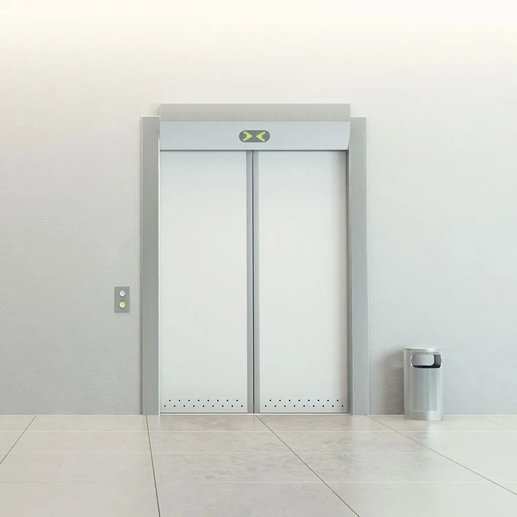 Supply All Brand Elevator Parts 630 kg 8 Person Elevator Passenger Electric Lift