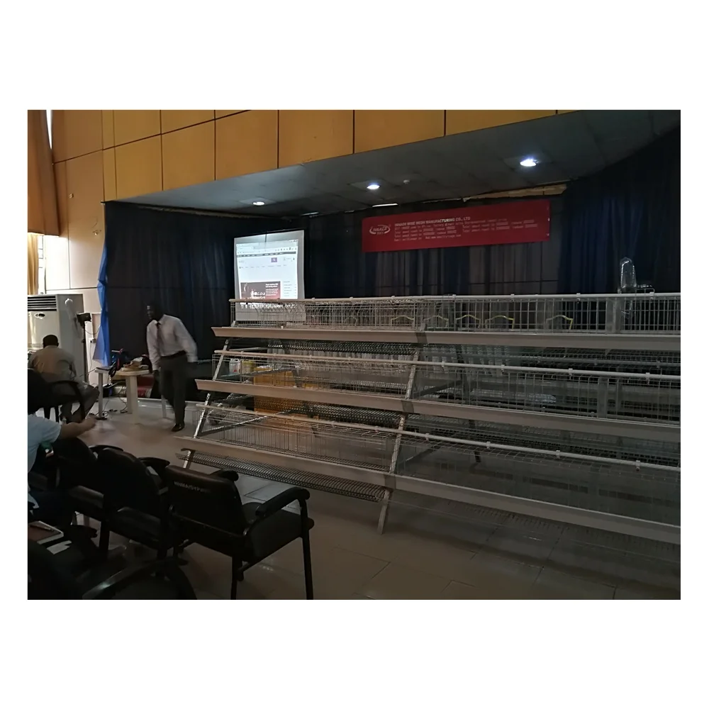 Машина для сортировки яиц, сельскохозяйственная техника для птицеводства