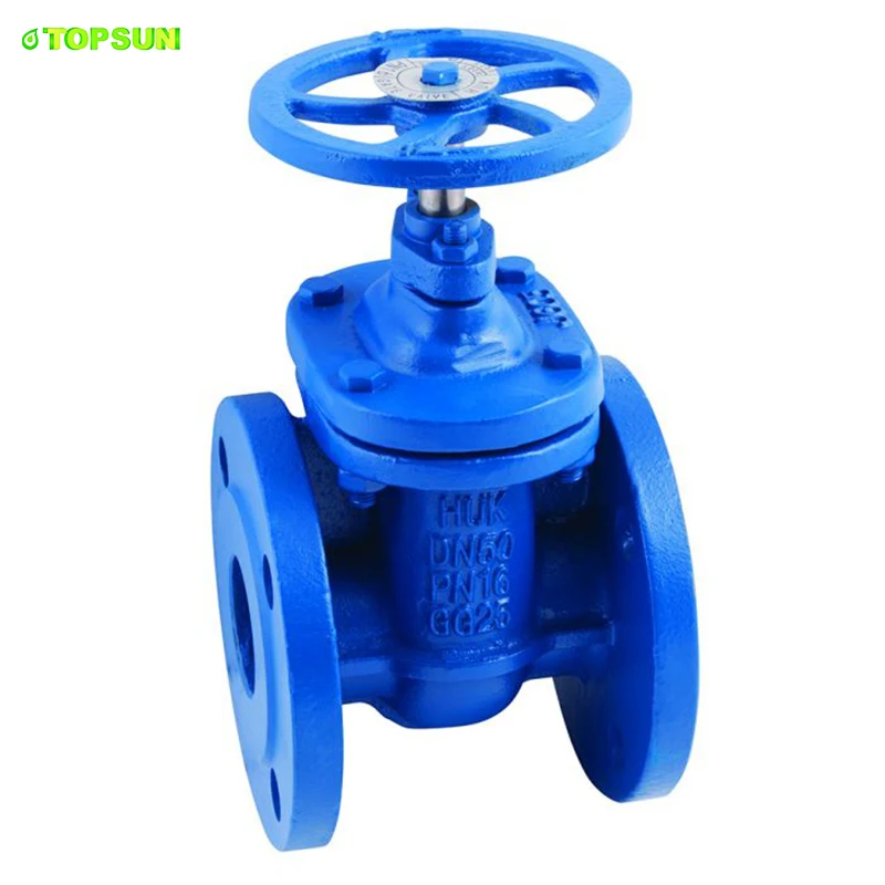 easy ordering Soft Seal dci gate valve Drilling To Iso 7005 Din2501 DN50 Dt pressure rating