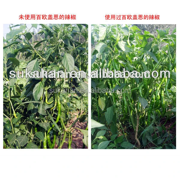 duck manure /Aquatic plants, algaecomposting fermentation bacteria for Fertilizer Making