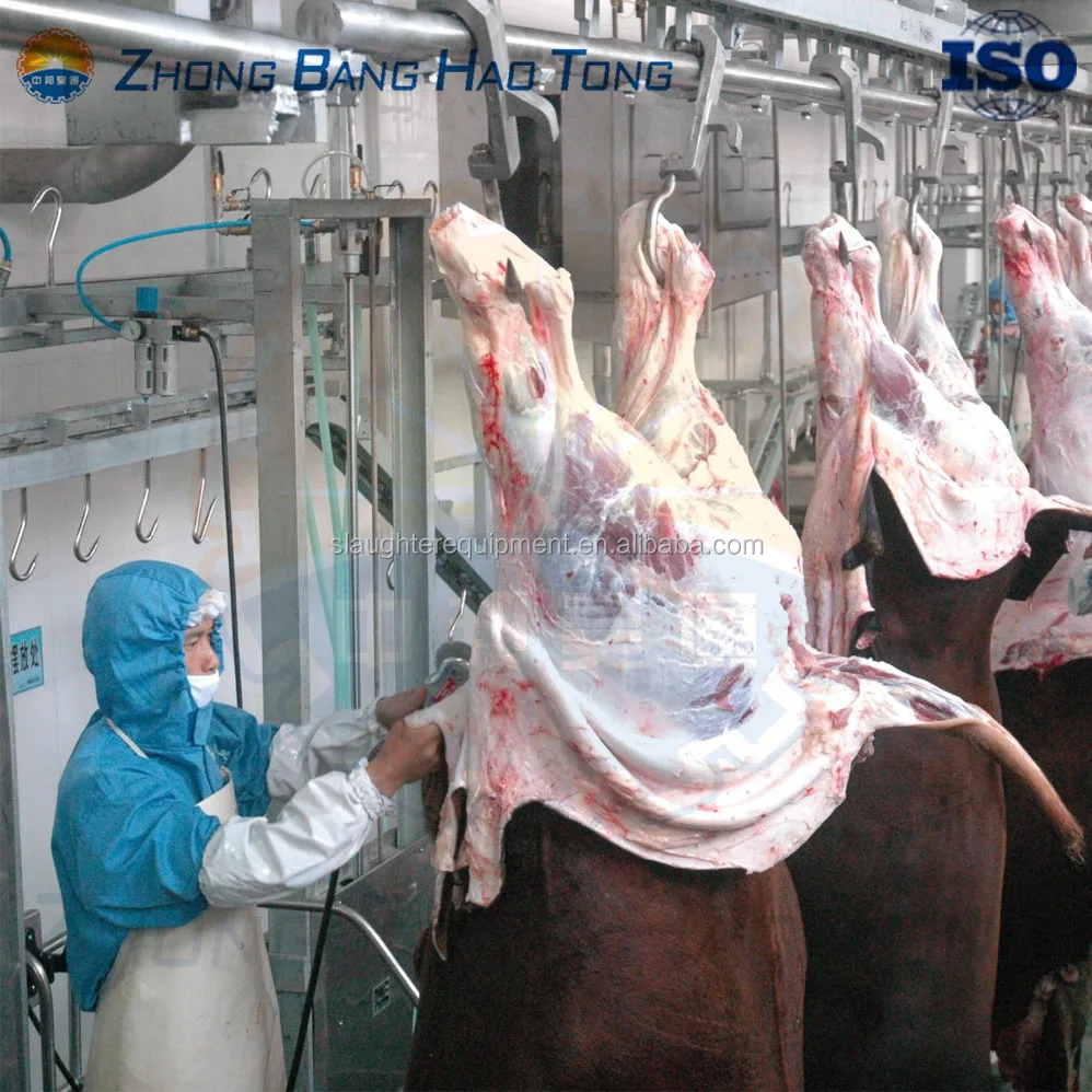 carcass dressing line for cattle abattoir slaughterhouse