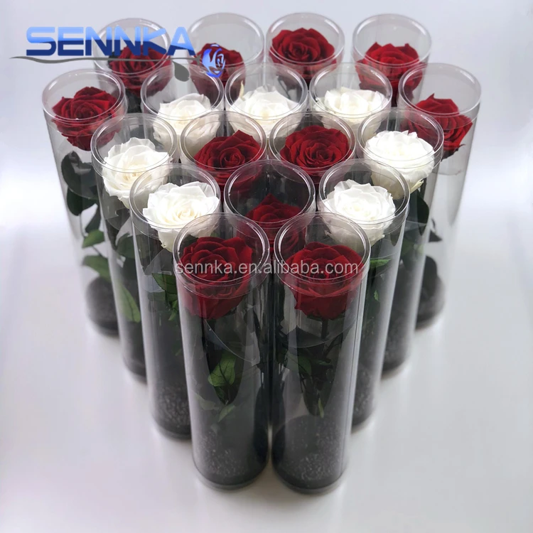 
Natural Real touch Preserved Rose Heart Shaped Rose Long Lasting Roses 