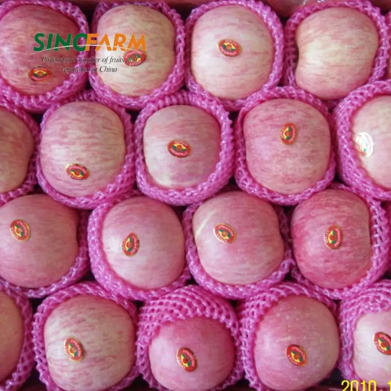 Big Size Grade A Chinese Red Fuji Apples