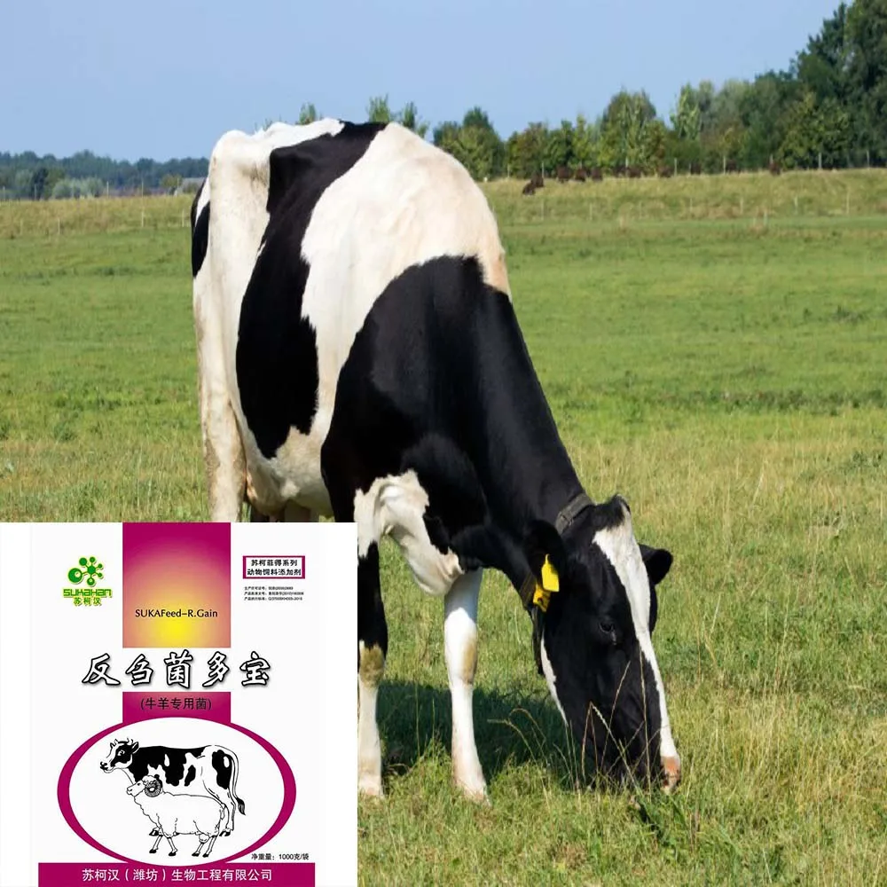 Feed Probiotic for cow and Sheep SUKAFEED-R.Gain Probiotic Ruminant