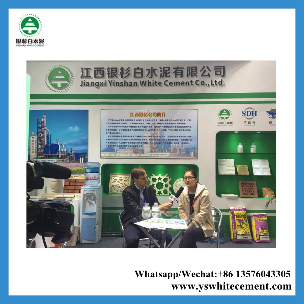 SDH White cement for asian paint wall putty powder price