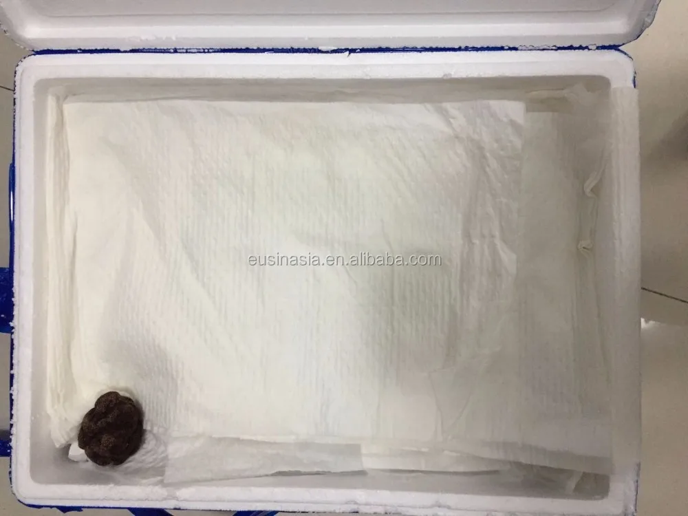 
Fresh Chinese black tuber indicum 