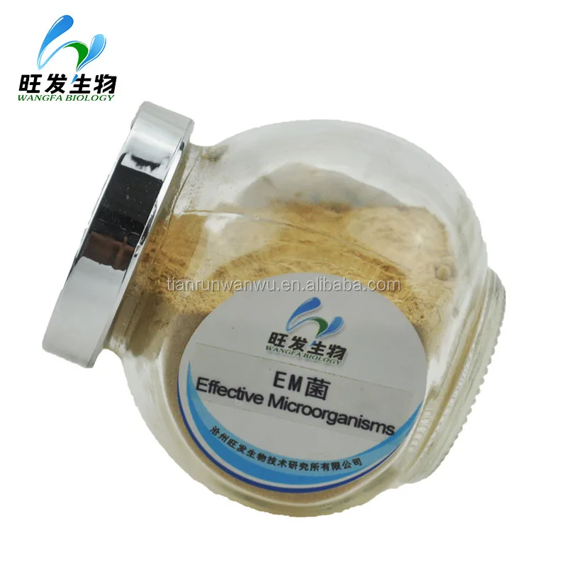 Aquaculture, agriculture, livestock and poultry breeding EM (Effective microorganisms)