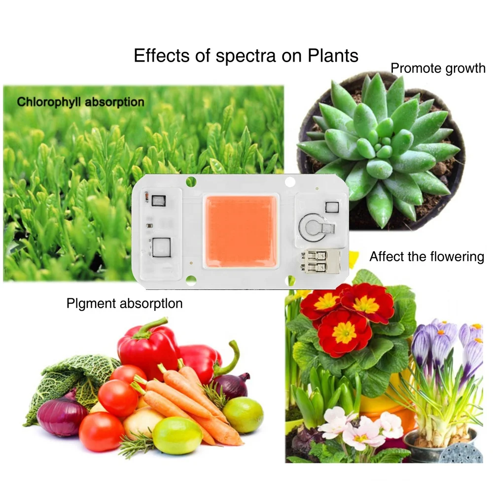 Solderless Connector 220v Led COB 50W 30W 20W Full Spectrum Plant Grow Light COB Chip for Indoor Plant Seedling Grow