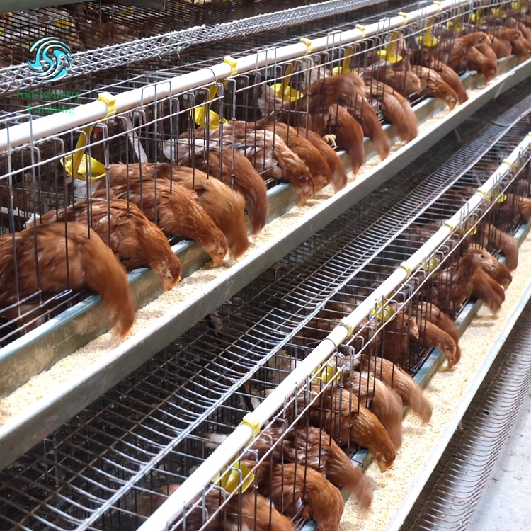 3tiers 4tiers layer chicken egg cage battery cages for chicken farm