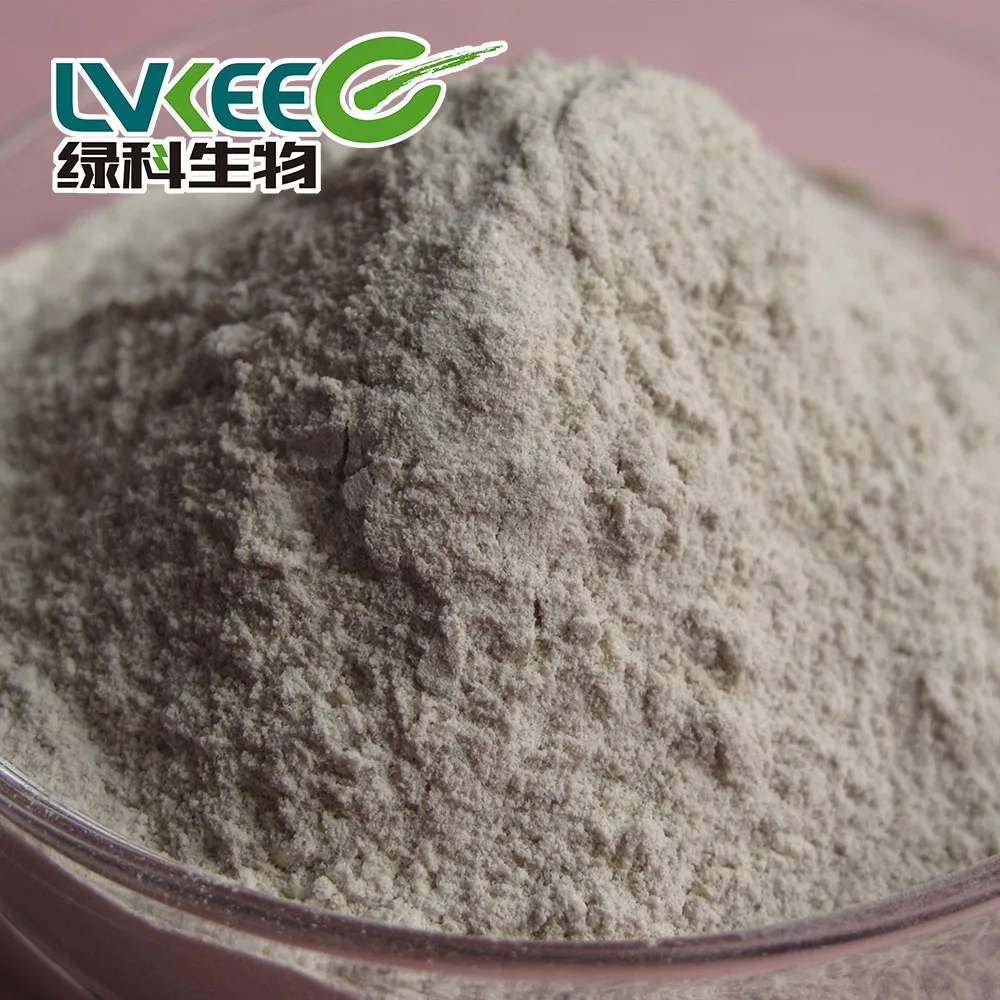 High Quality 50 bilion cfu/g Bacillus Laterosporus for animal additives supplements