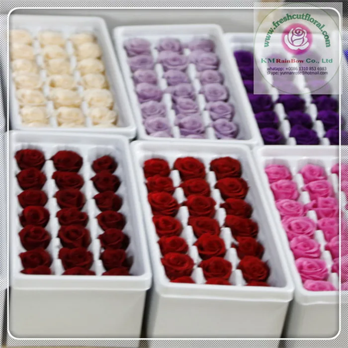 natural mini preserved rose head 2-3cm diameter in size 24 pieces/box