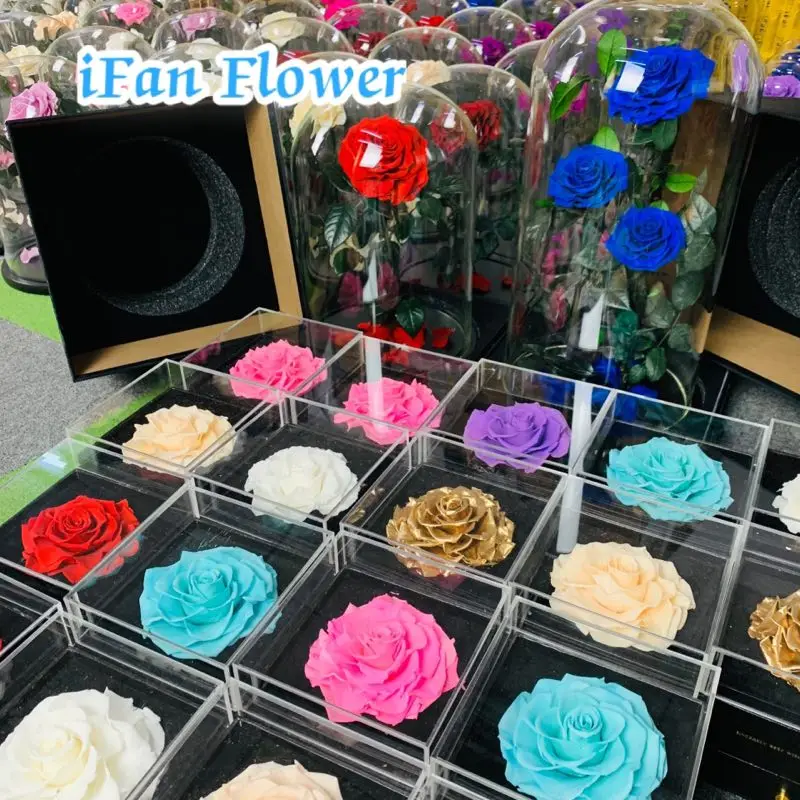 Unique Purple queen color wholesale preserved rose flower ecuador wholesale flowers