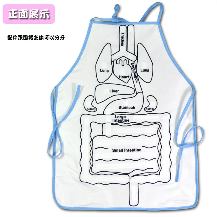 
Children early educational toy 2020 montessori Preschool body organ Teaching aids apron kids training aids baby educational toys 