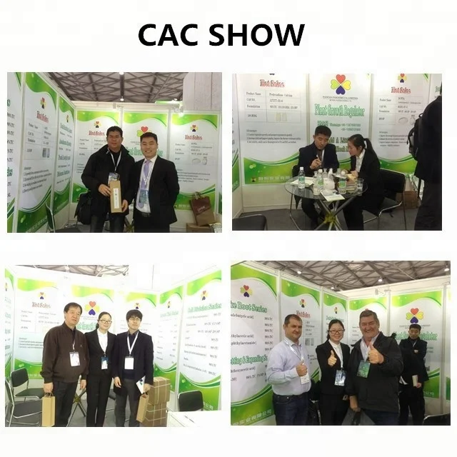 
Good Quality Furfurylaminopurine Pgr Kinetin(6kt) Zeatin Distributor, 98% Zeatina, 