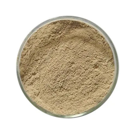 Super Slimming Pure nature green coffee bean extract,supply green coffee bean extract
