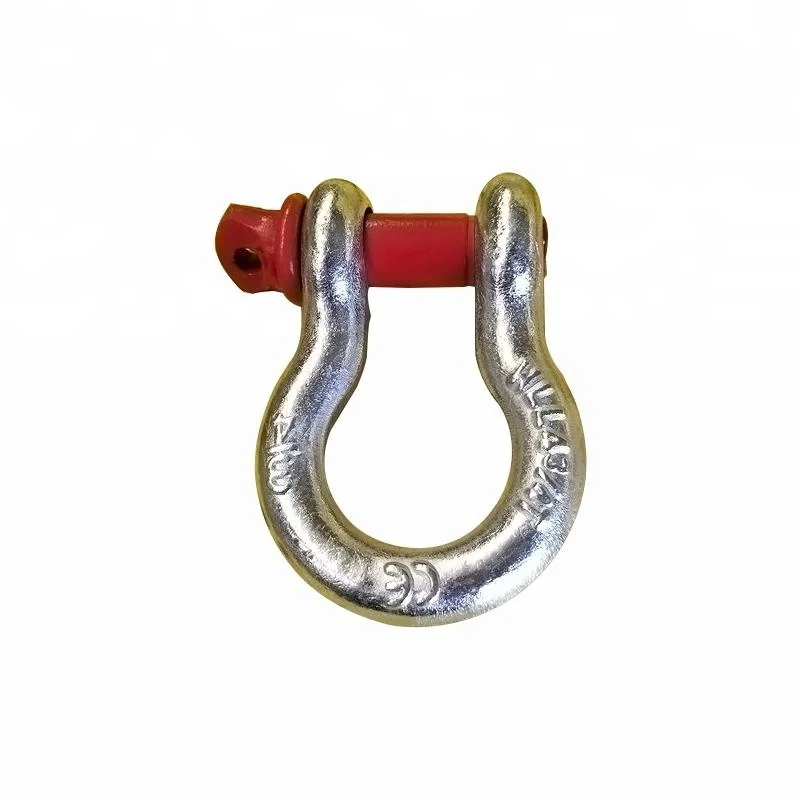 
US Type Drop Forged Anchor D Shackle 