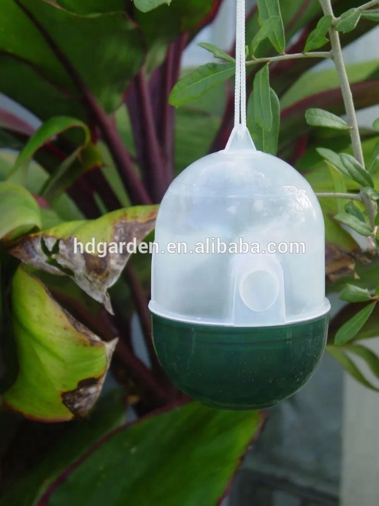 Plastic Outdoor Garden animal wasp Trap