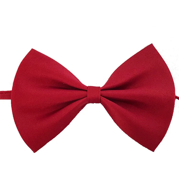 
 Простые большие галстуки-бабочки из полиэстера для домашних питомцев  