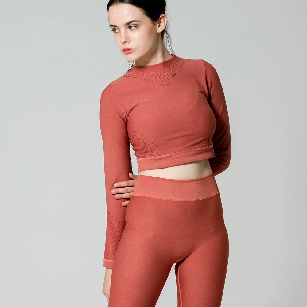 wholesale Plain blank sport shirt long sleeve women workout sports crop top for women