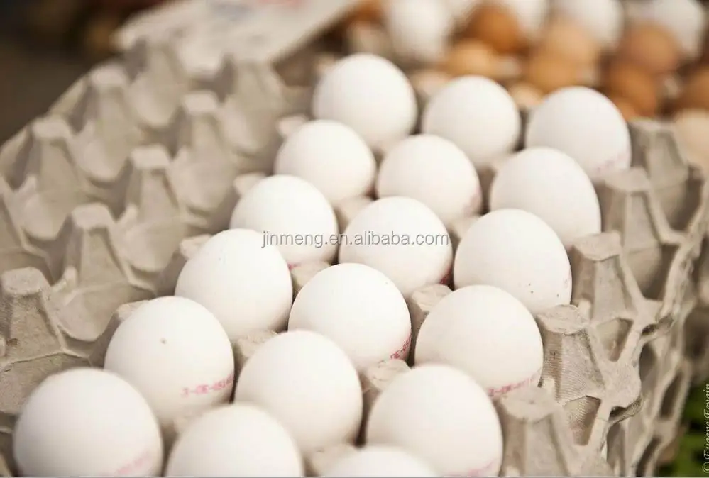 egg tray making machine paper egg tray molding machine