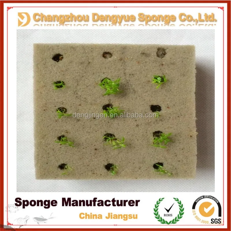 Thailand hydroponic vegetables moisture retain sowing seeds hydroponics sponge