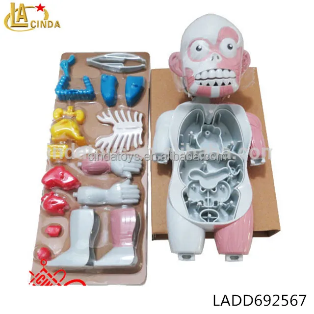 learning resource lab human body doctor play set human body parts