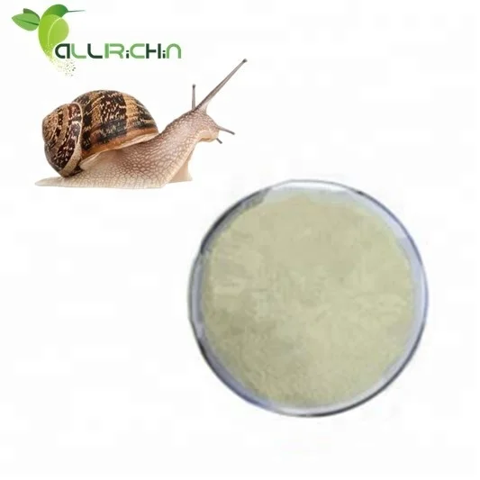 Hot Selling High Quality Snail Secretion Extract Protein Powder