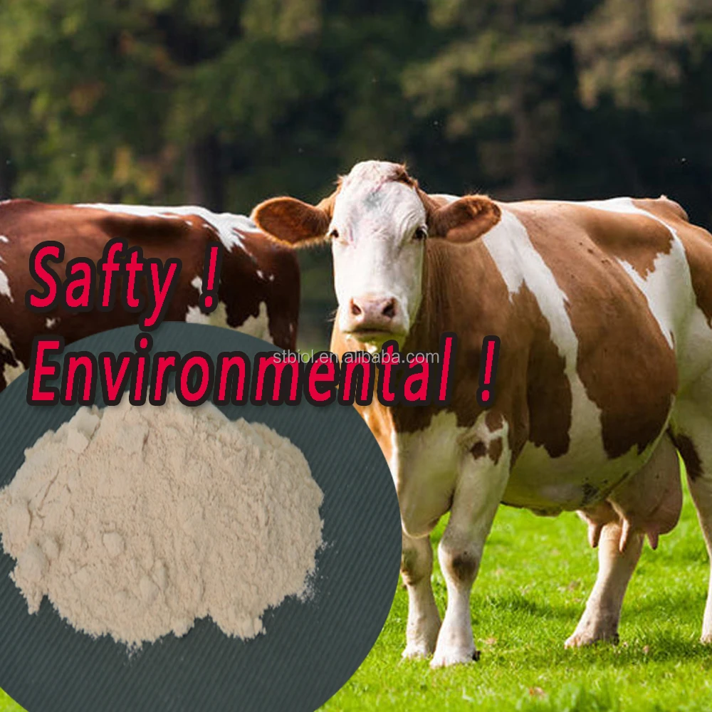 Suntybio Buy Bacillus Subtilis Bacteria