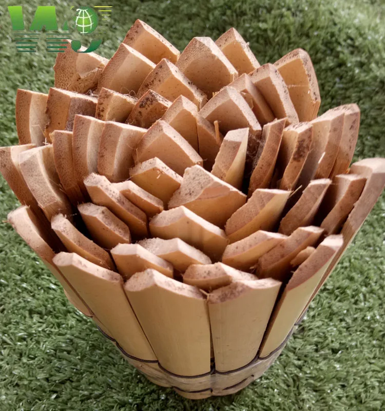 WY T-001 artificial black bamboo fence and bamboo cane mat