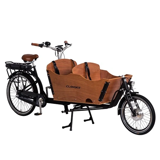 Electric Cargo Bike Two Wheel Cargo Bicycle Steel Frame Bicycle Cargo Trailer
