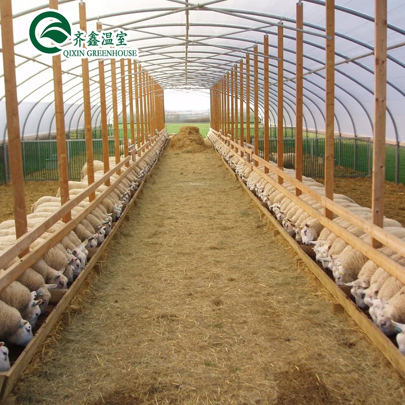 Aquaponics Film Greenhouse For Animals Growing Tent