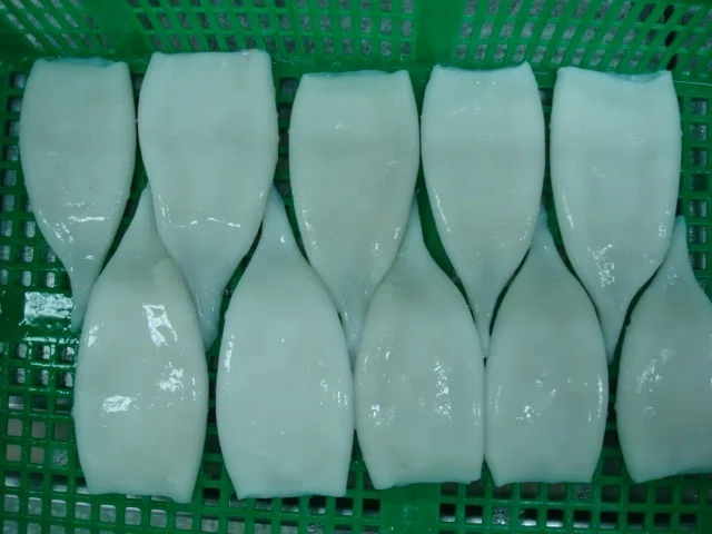 Оптовая продажа, замороженный кальмар todarodes/illex