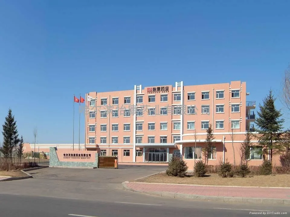 Chinese Organic nature mixed berries fruit instant herbal tea immune booster