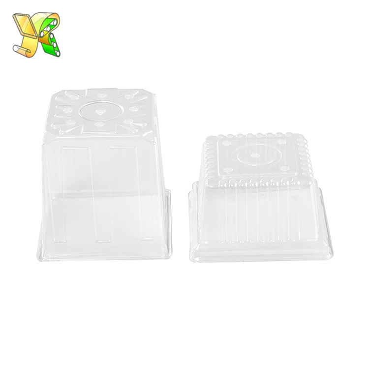 
Plastic high lid lunch box disposable high plastic container fruits guangzhou high plastic lids for salad 