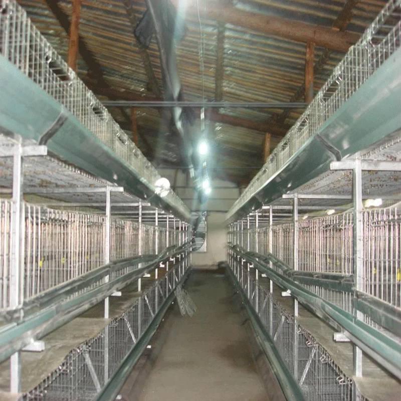 SSD Design meat broiler battery chicken cages for sale