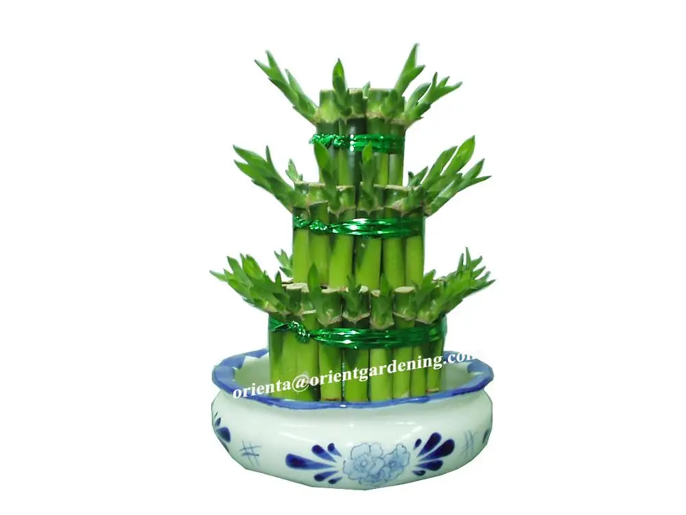 
wholesale small 3 tier indoor bonsai lucky bamboo tower 