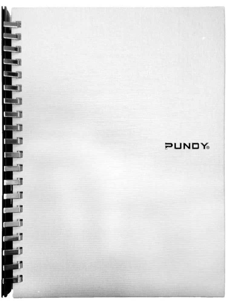 PUNDY fashionable fancy stone paper notebook